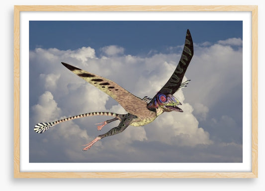 Peteinosaurus flight