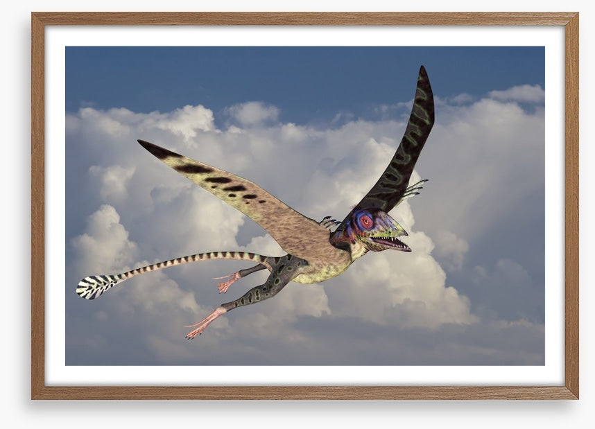 Peteinosaurus flight