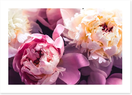 Love blooms