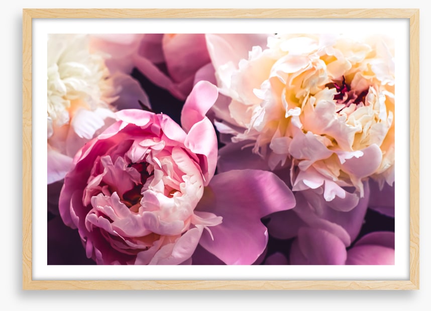 Love blooms