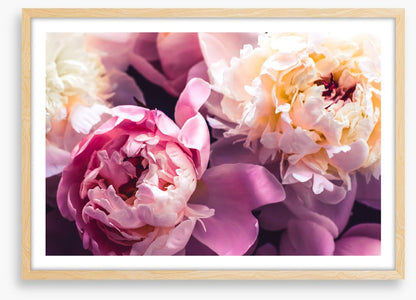 Love blooms