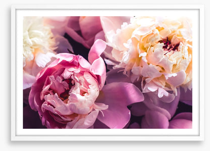 Love blooms