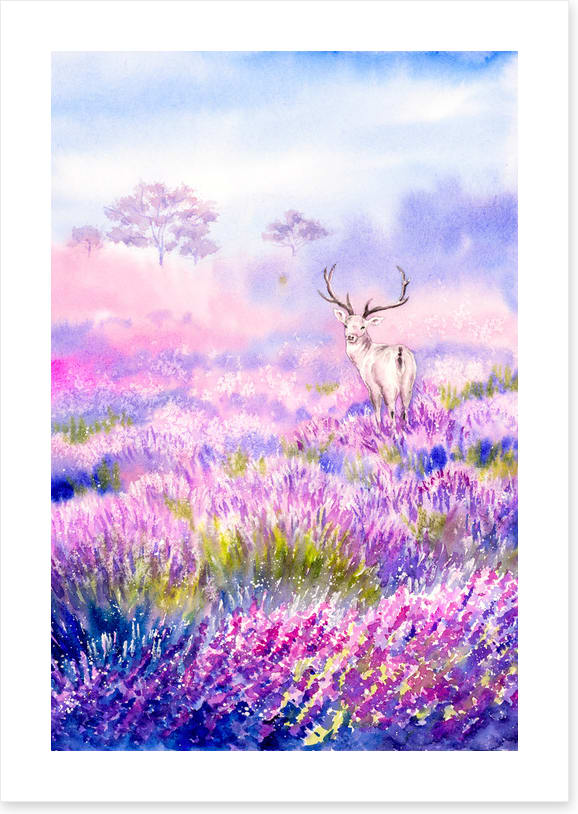 Among the lavender