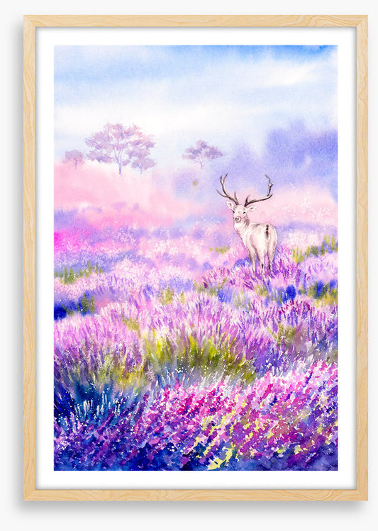 Among the lavender