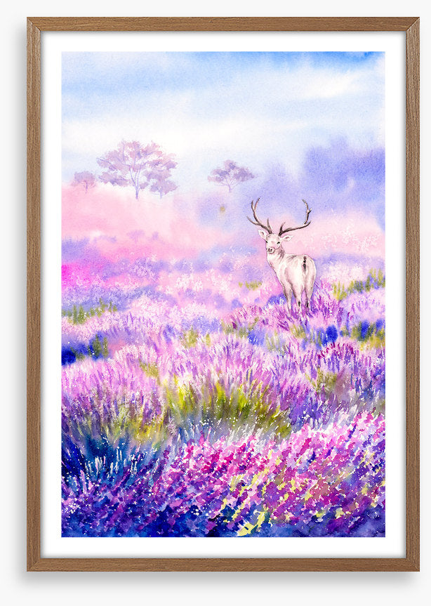 Among the lavender
