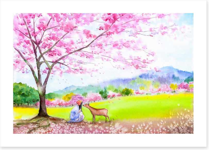 Under the cherry tree