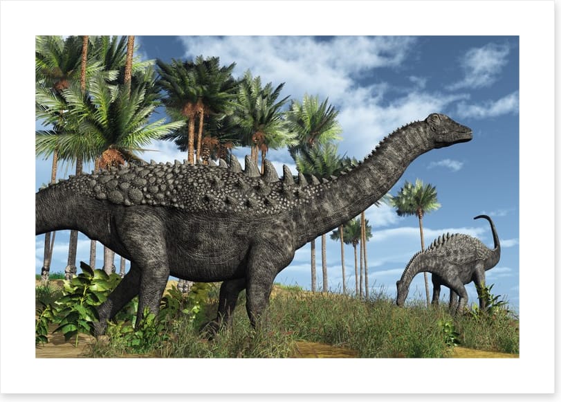 Ampelosaurus amble