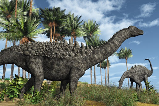 Ampelosaurus amble