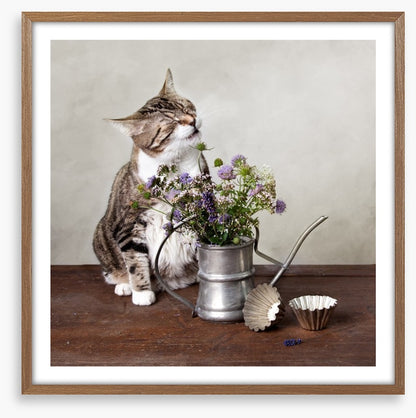 Curiosity tickled the cat
