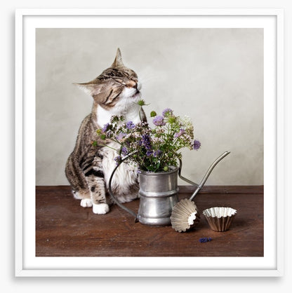 Curiosity tickled the cat