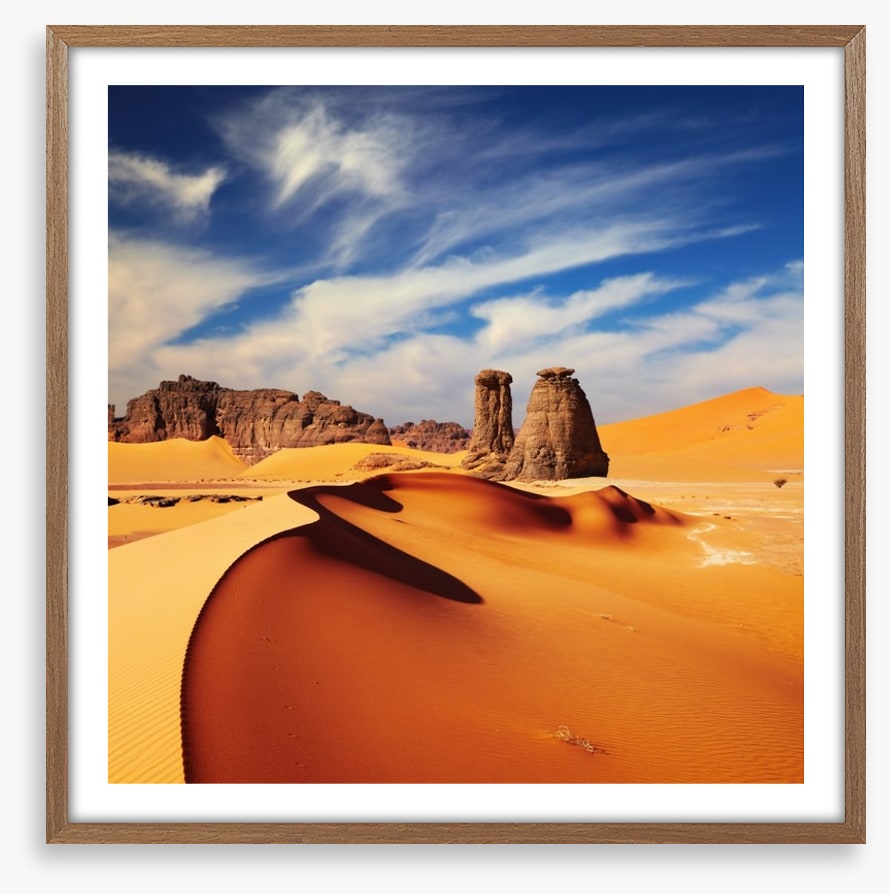 Shapes of the Sahara