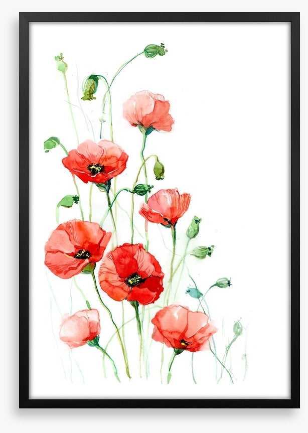 Climbing poppies