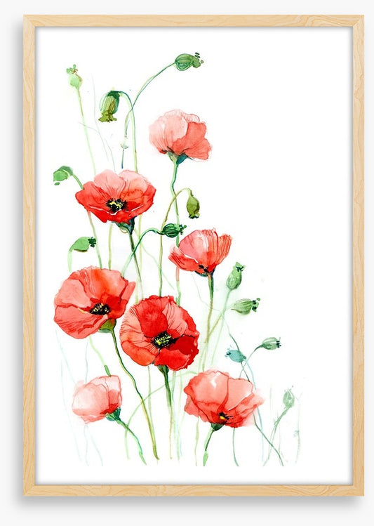 Climbing poppies