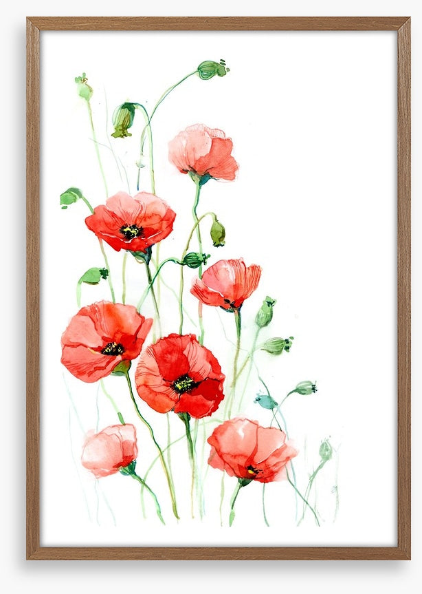 Climbing poppies