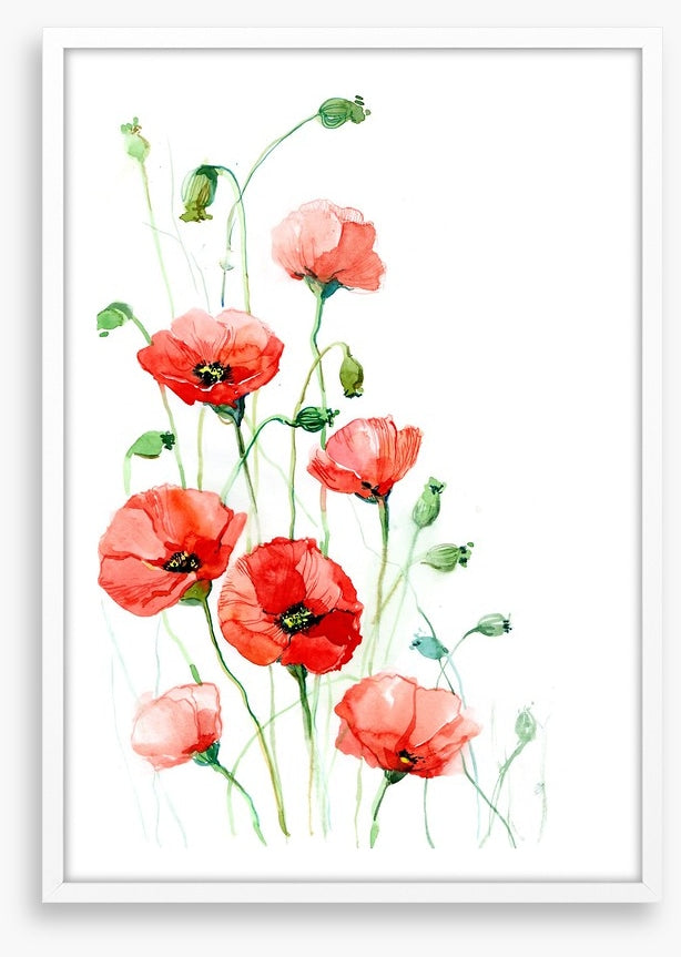 Climbing poppies
