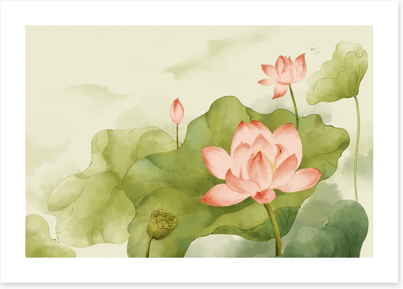 Pink lotus leaves