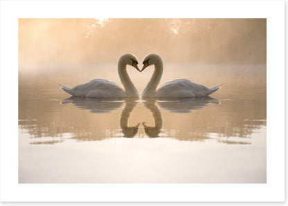 Dawning love