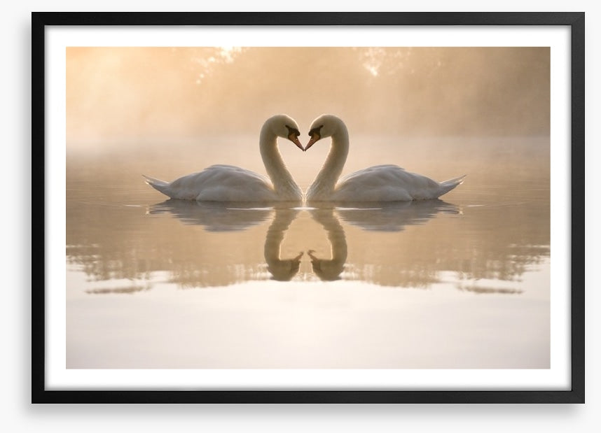 Dawning love