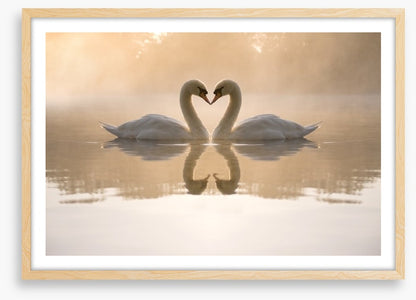 Dawning love