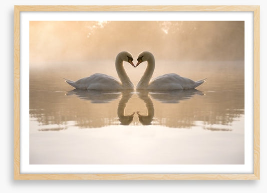 Dawning love