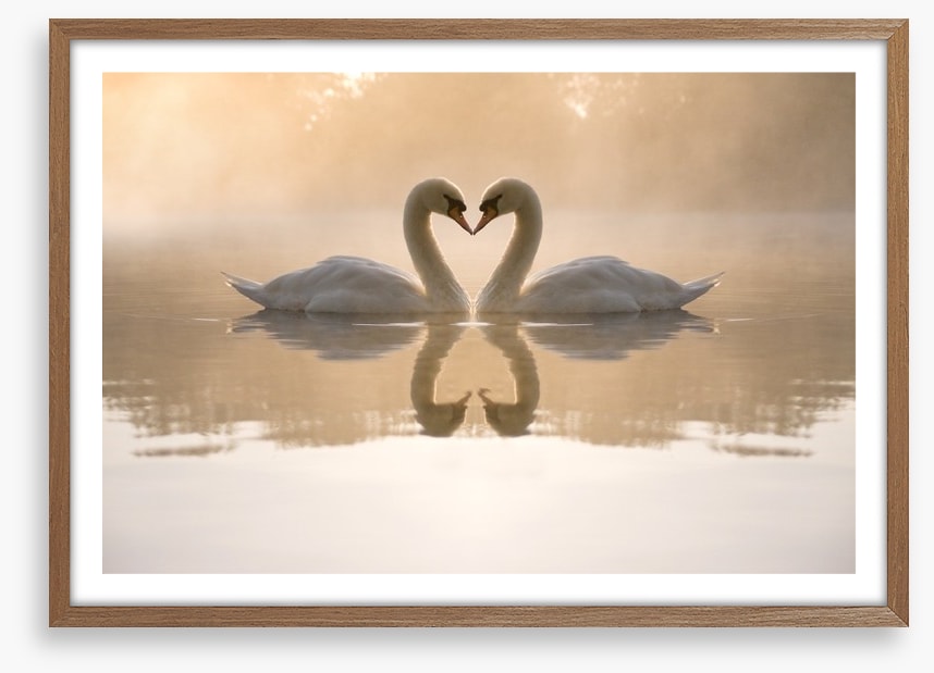 Dawning love