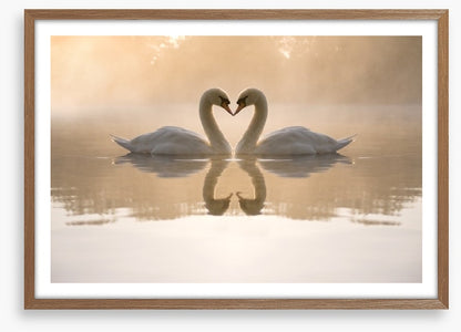 Dawning love