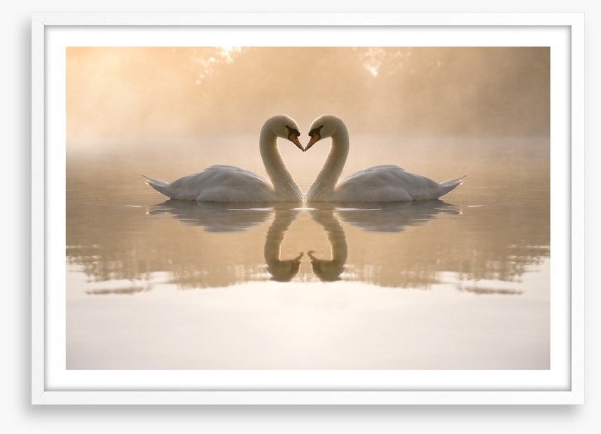 Dawning love