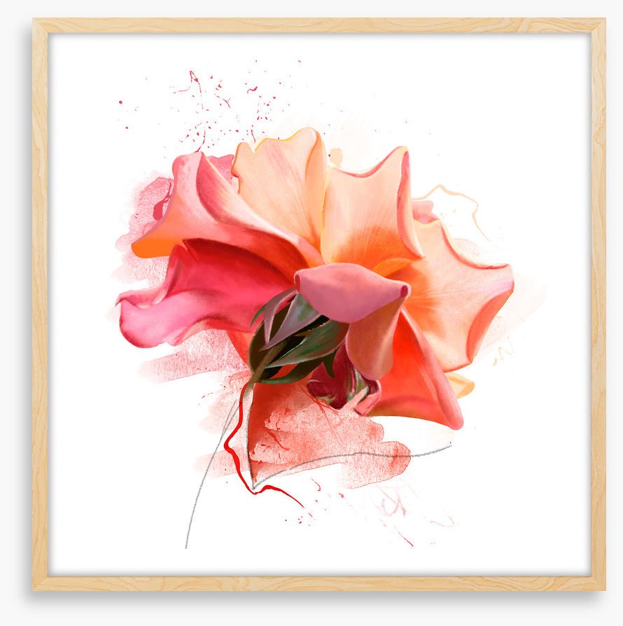 Feeling rosy III