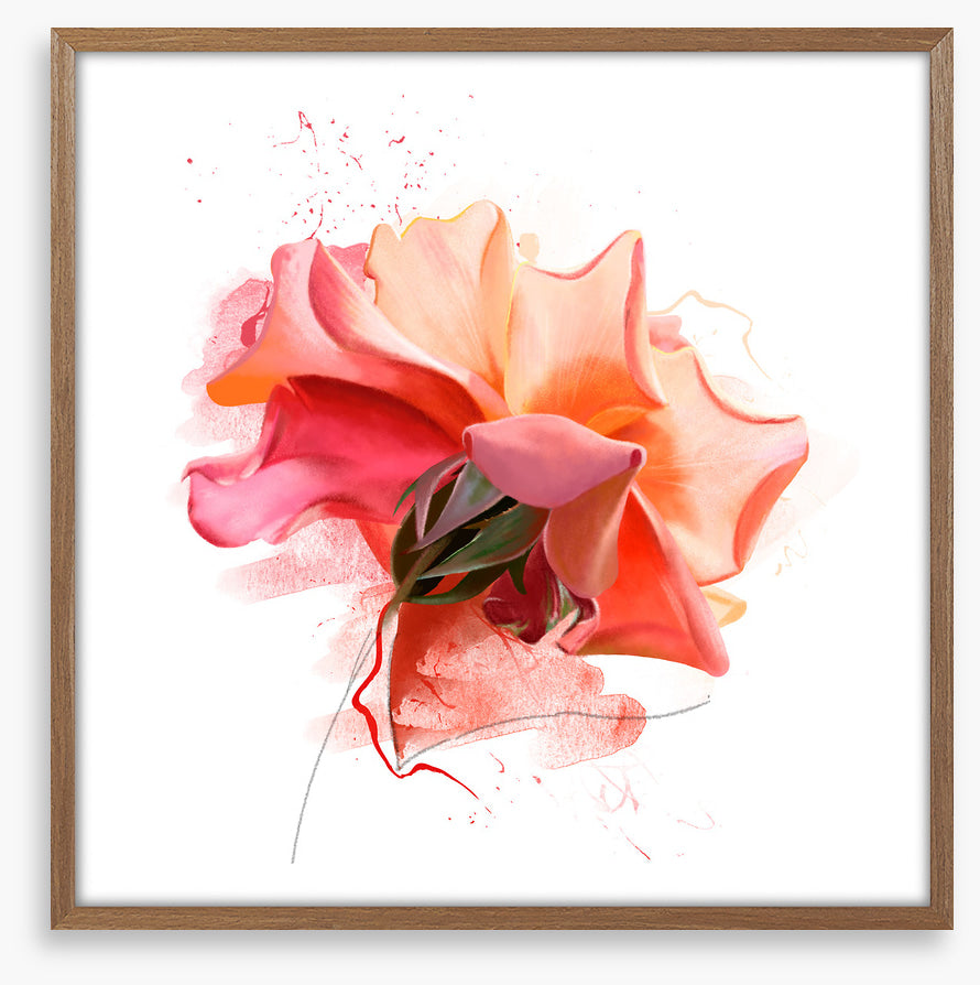 Feeling rosy III