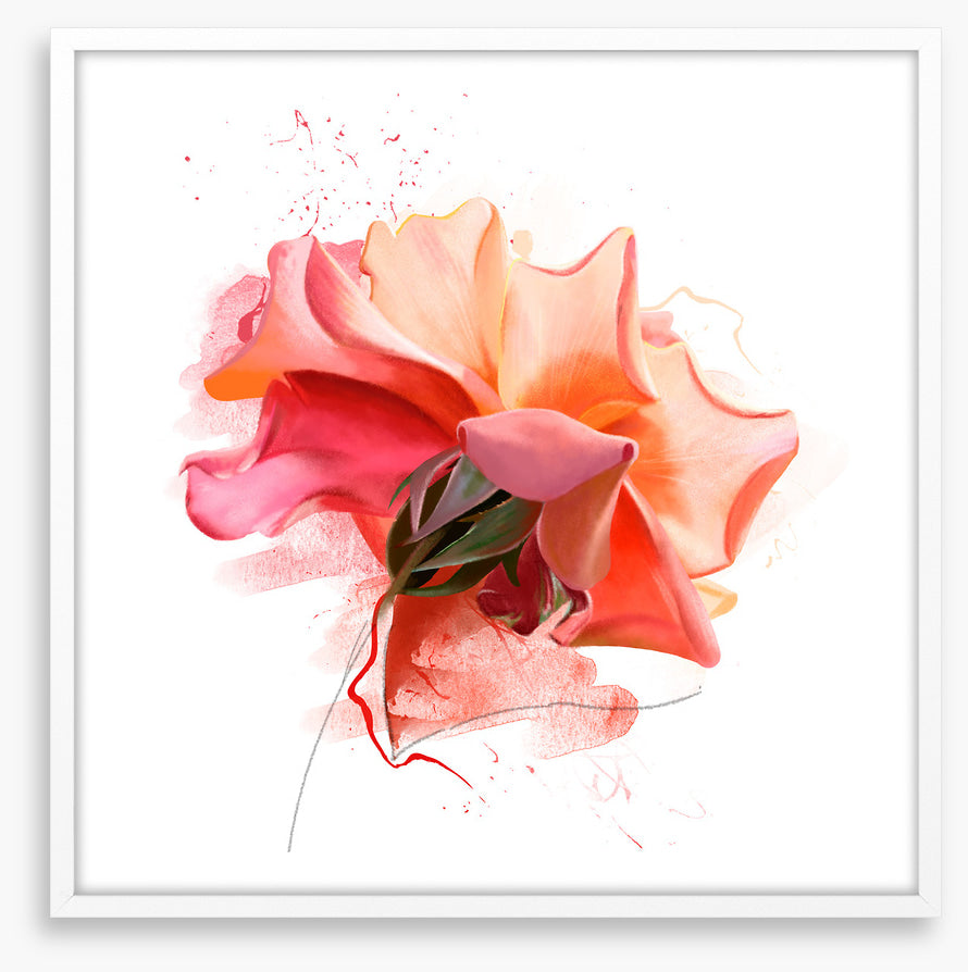 Feeling rosy III