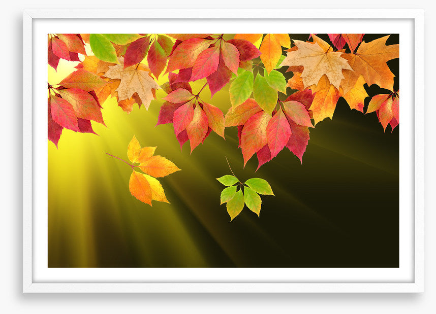 Leaves
