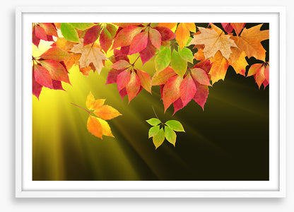 Leaves