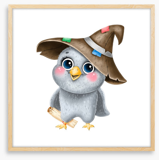 Little wizard owl