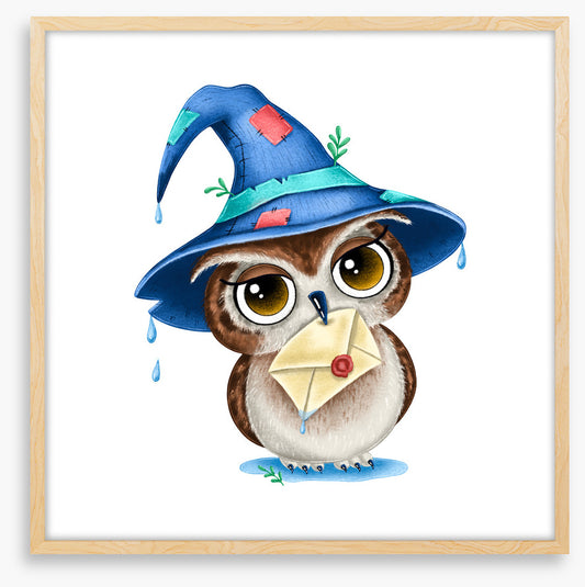 Wizard owl post