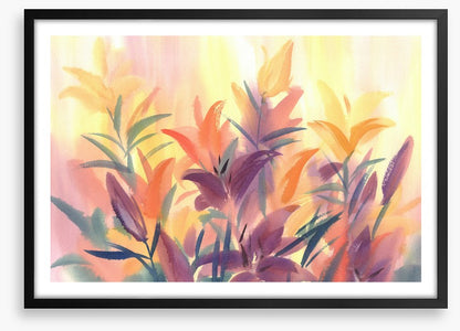 Floral