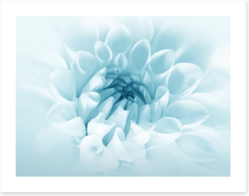 Soft bloom