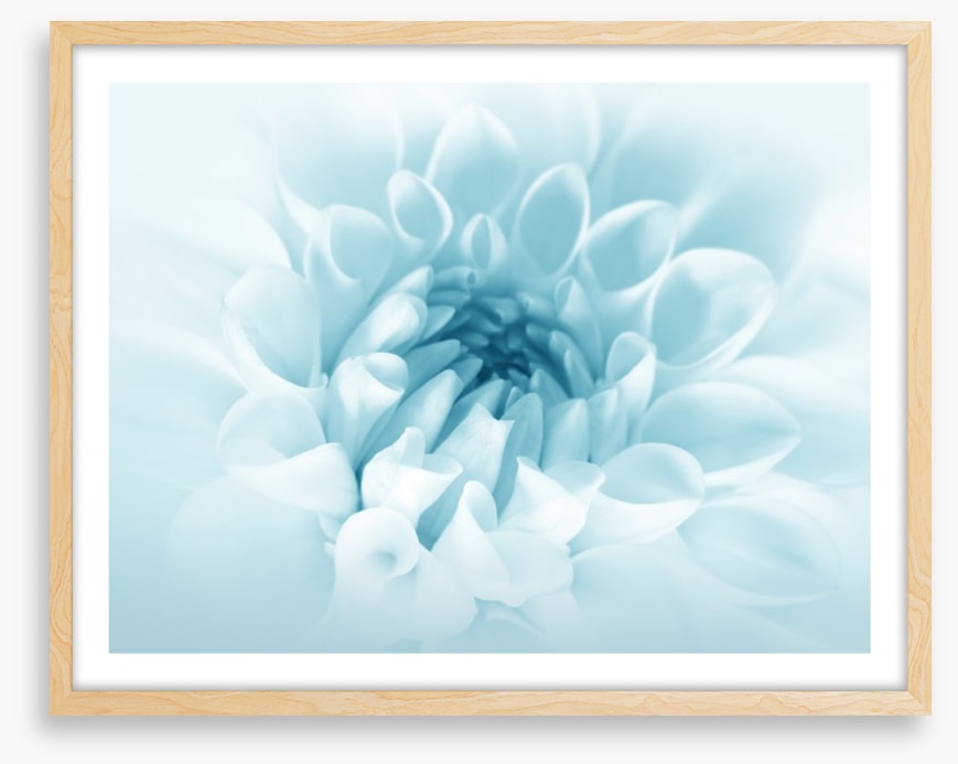 Soft bloom