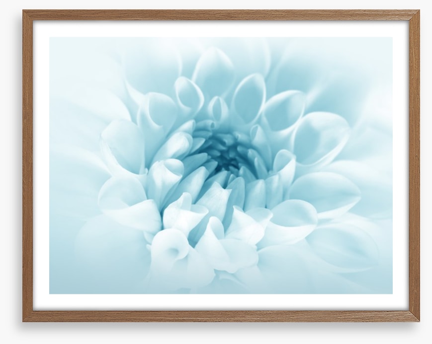 Soft bloom