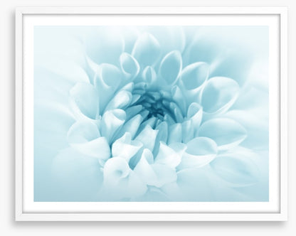 Soft bloom