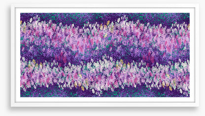 Lavender love