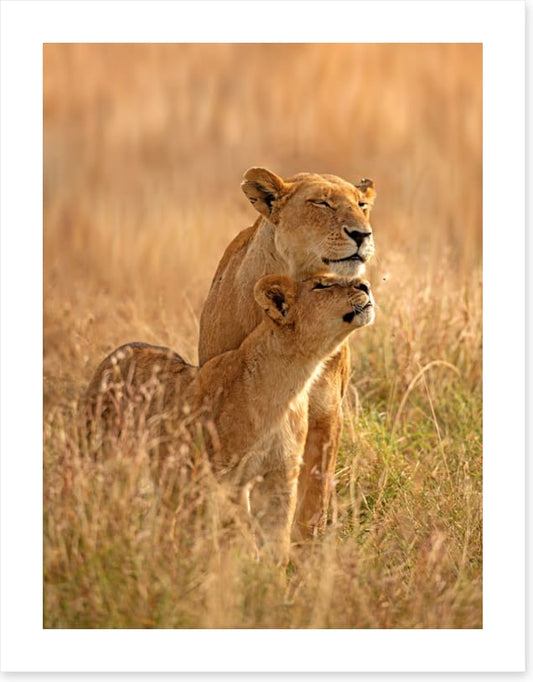 A moment with mum