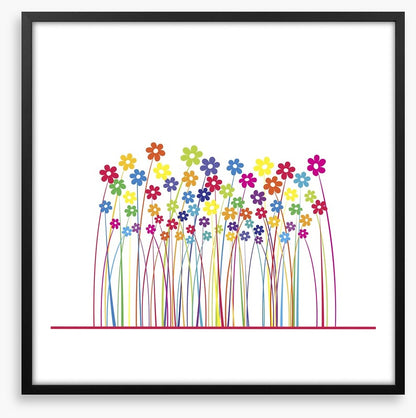 Rainbow flowers