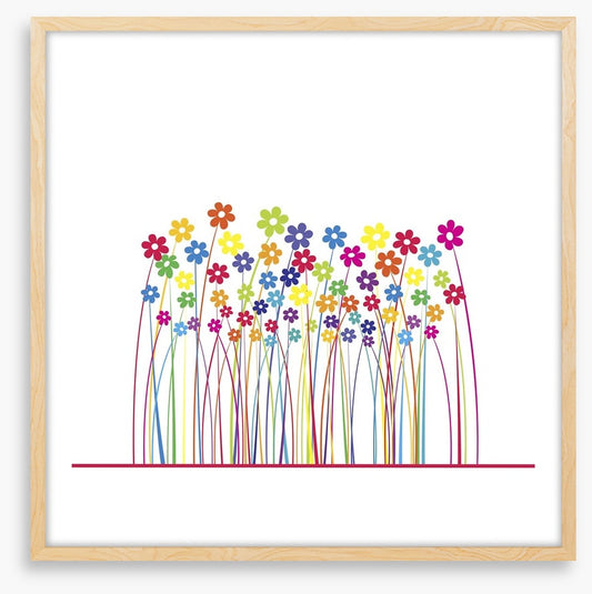Rainbow flowers