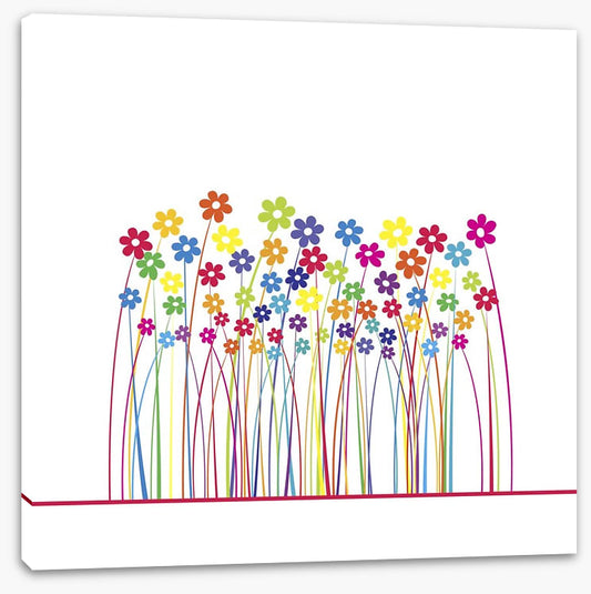 Rainbow flowers