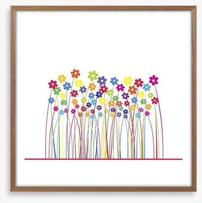 Rainbow flowers