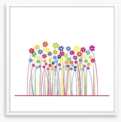 Rainbow flowers