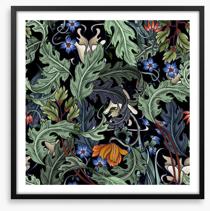 Acanthus bloom