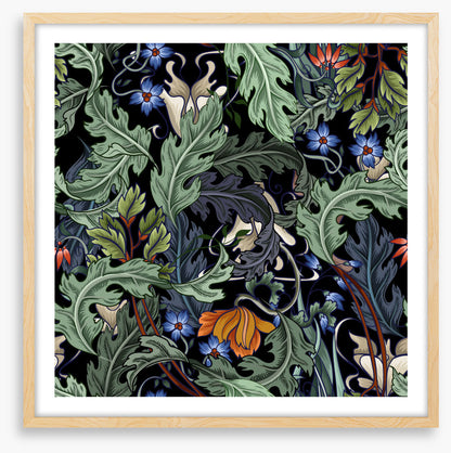Acanthus bloom