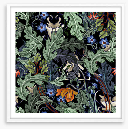 Acanthus bloom