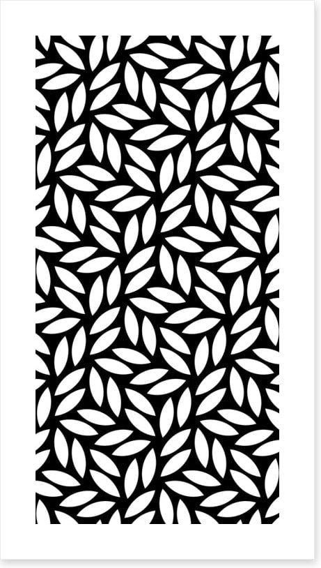 Black and White